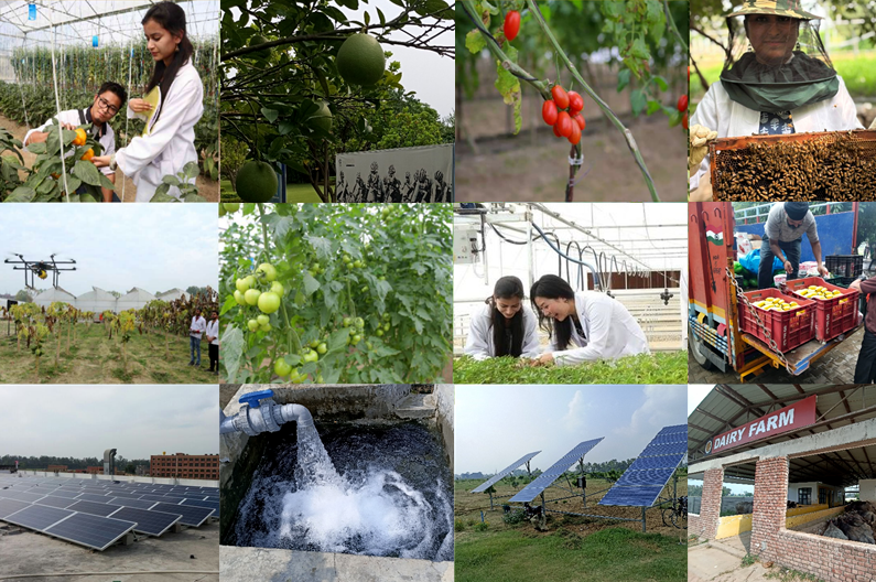 Ethical Sourcing of Food and Supplies