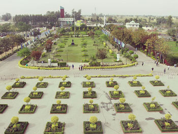 University Gardens