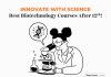Top Biotechnology Courses After 12th: A Gateway to Innovative Careers Top Biotechnology Courses After 12th