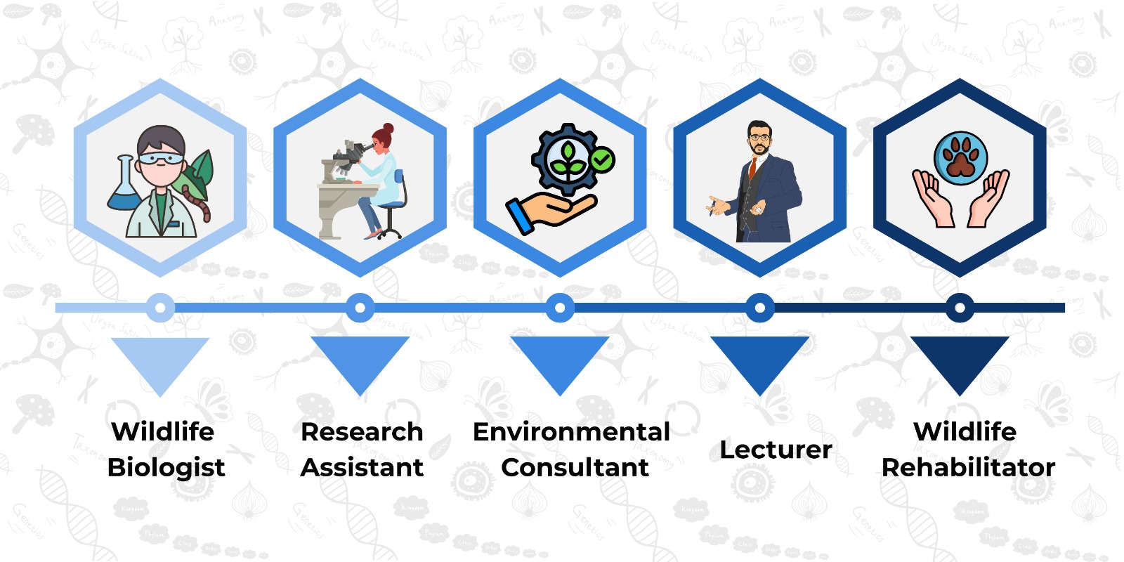 CAREER IN MSc Zoology