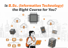Is B.Sc. Information Technology (IT) the Right Course for You? Is B.Sc. Information Technology (IT) the Right Course for You