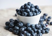 Blueberry Farming in Punjab: A New Opportunity for Farmers Blueberry Farming in Punjab