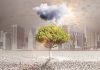 Green Guardians: How Trees Combat Climate Change Green Guardians: How Trees Combat Climate Change
