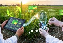 The Transformative Role of Plant Genomic Studies in Advancing Crop Resilience Transformative Role of Plant Genomic Studies
