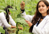 8 Reasons to Choose LPU for M.Sc. Agriculture in 2026 M.Sc. Agriculture 2026