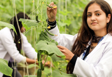 8 Reasons to Choose LPU for M.Sc. Agriculture in 2026 Agriculture