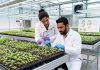 From Diagnosis to Resilience: A Modern Guide to Sustainable Plant Disease Management From Diagnosis to Resilience