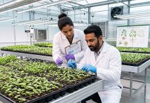From Diagnosis to Resilience: A Modern Guide to Sustainable Plant Disease Management From Diagnosis to Resilience