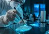 How Forensic Science Professionals Help Solve Criminal Cases M.Sc. Forensic Sciences Career Opportunities | LPU