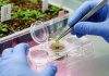 M.Sc. Soil Science: Why the Degree Matters in India’s Sustainable Agriculture Goals M.Sc. Soil Science programme supporting sustainable agriculture and soil health careers at LPU