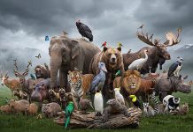 Why B.Sc. Hons. Zoology is Gaining Ground in the Age of Biodiversity and Conservation Science B.Sc. Hons. Zoology students exploring biodiversity conservation and wildlife research at LPU