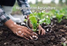 Regenerative Agriculture: Going Beyond Sustainability Regenerative Agriculture: Going Beyond Sustainability