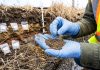 Soil is Breathing: Understanding the Living Foundation of Sustainable Agronomy Living Soil for Sustainable Agronomy