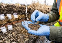 Soil is Breathing: Understanding the Living Foundation of Sustainable Agronomy Living Soil for Sustainable Agronomy