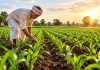 Building Climate-Resilient Kharif Agriculture Building Climate-Resilient Kharif Agriculture