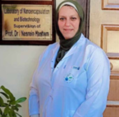 Dr. Nesrein M Hashem