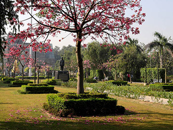 Floral Wonderland LPU 