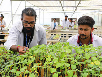 Hardening chamber LPU