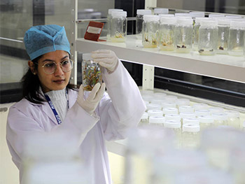 Plant biotechnology lab LPU