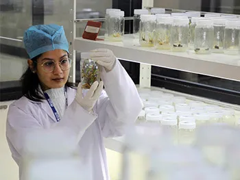 Plant biotechnology lab LPU