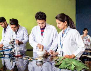 LPU Ayurvaidya Aushdha Project