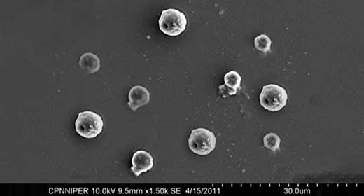 Improved Oral Target Drug Delivery System