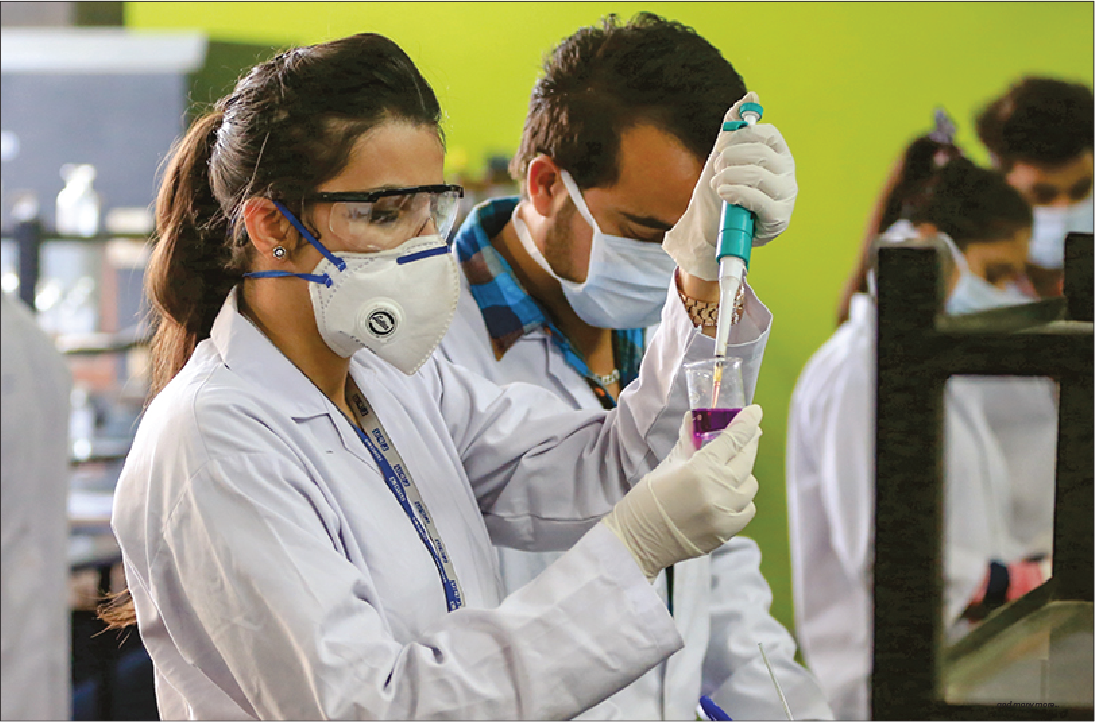 Disha Tool Science Hair Straightener In Bakery Pastry Management