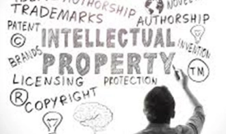 Intellectual Property Rights