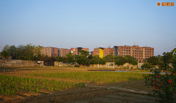 LPU Campus