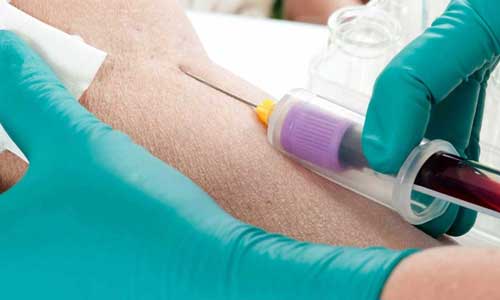 Physiotherapy and Paramedical Sciences