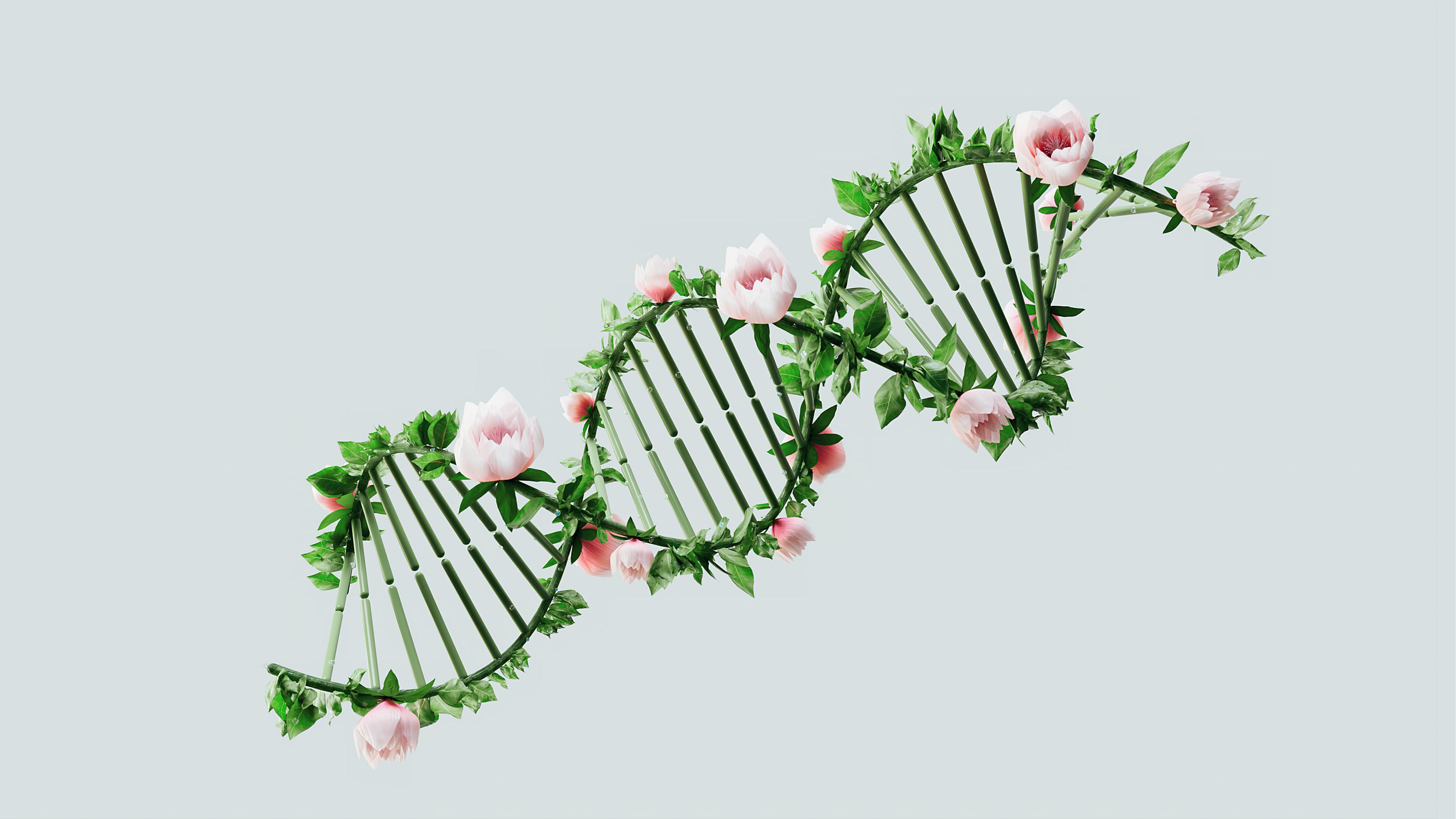 foundation-course-in-stem-cell-research-and-clinical-translation-isscr-2025-guidelines